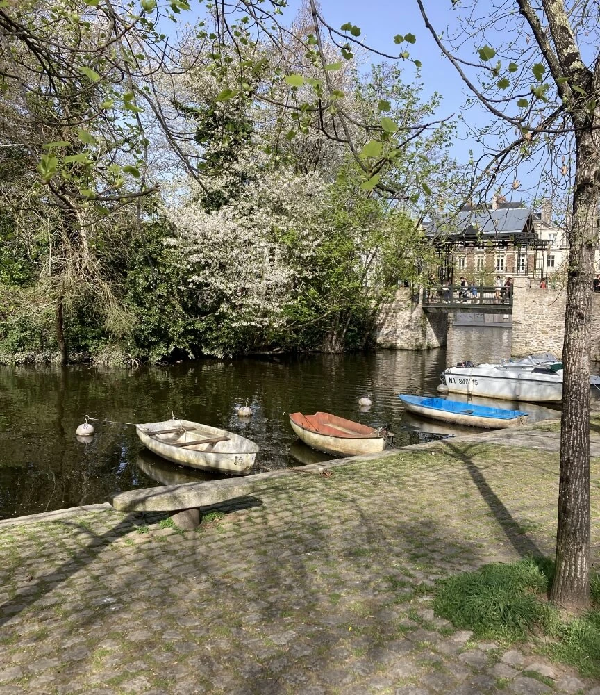 maison-ela-visuel-maison-maitre-environnement-03