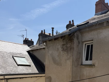 <strong>Vue sur les toitures nantaises</strong>